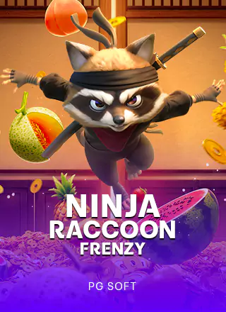 ninja raccoon frenzy